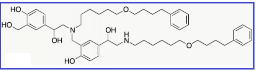 Salmeterol EP Impurity G/ Salmeterol N-Alkyl Impurity (USP)
